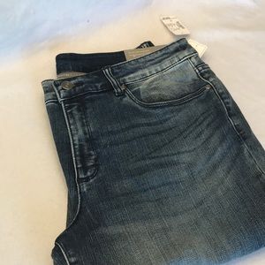 Christopher & Banks Modern Fit Ankle Pants NWT